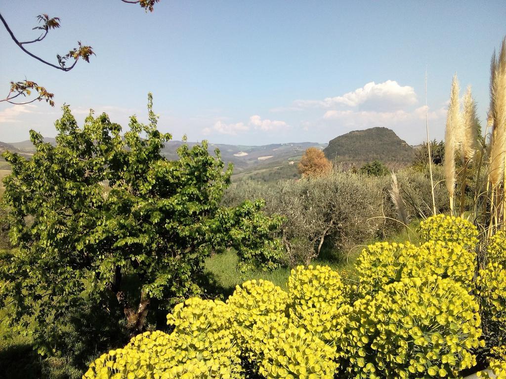 Villa Il Palazzino Volterra Buitenkant foto